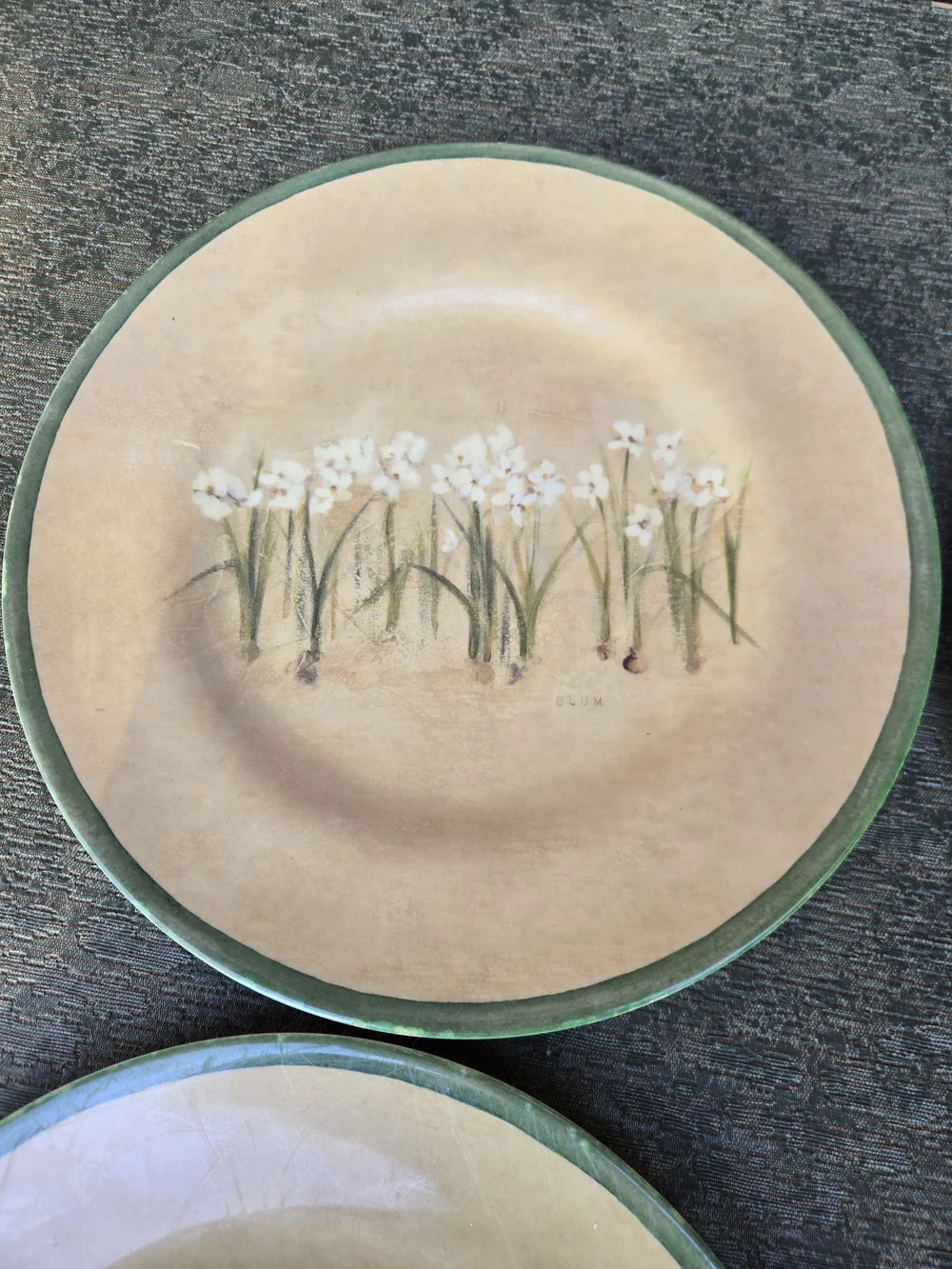 Cheri Blum Floral Print Melamine Plates - Set of 5
